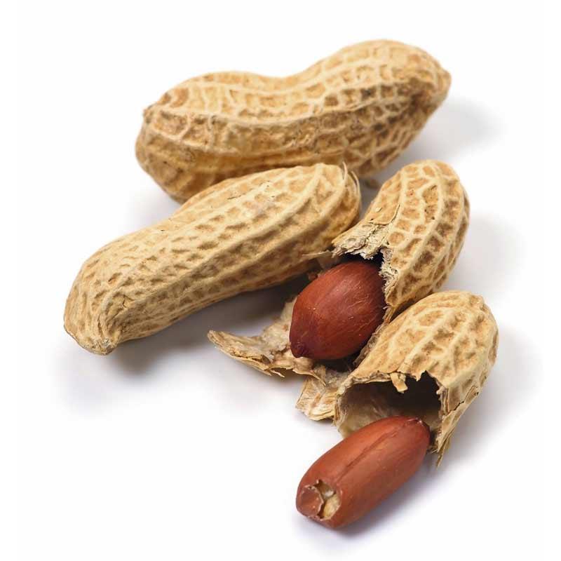 Bilans kaloryczny fistaszków