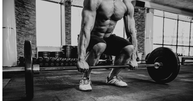 Budowa mięśni i spalanie tłuszczu