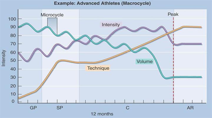 Czym jest periodyzacja treningu i jak wpływa na wyniki sportowe?