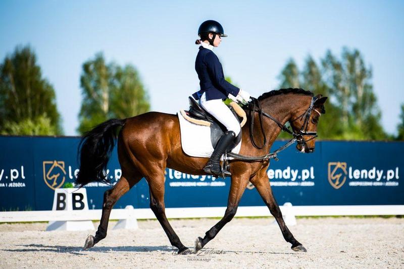 Mięśnie podczas jazdy konnej