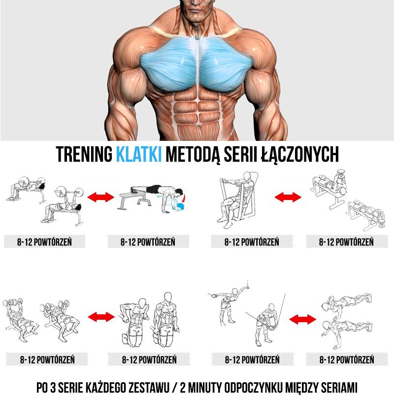 Anatomia klatki piersiowej w treningu