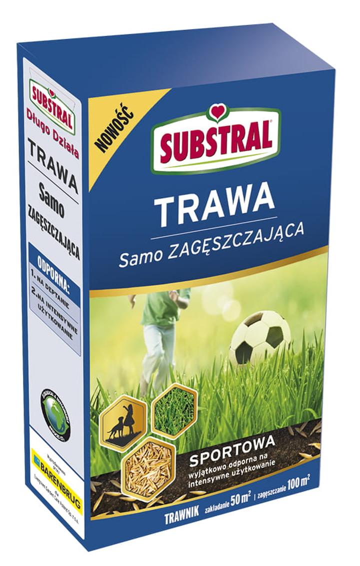 Kiełkowanie trawy sportowej