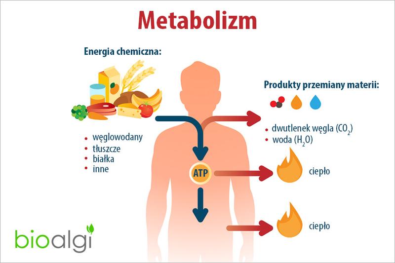 Trening siłowy vs cardio