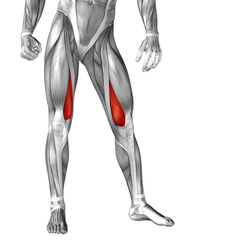 Zalecenia i terapia przy naciągnięciu mięśnia