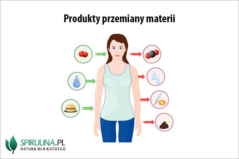 Jak skutecznie przemienić tłuszcz w mięśnie brzucha? Sprawdź nasze sprawdzone sposoby!