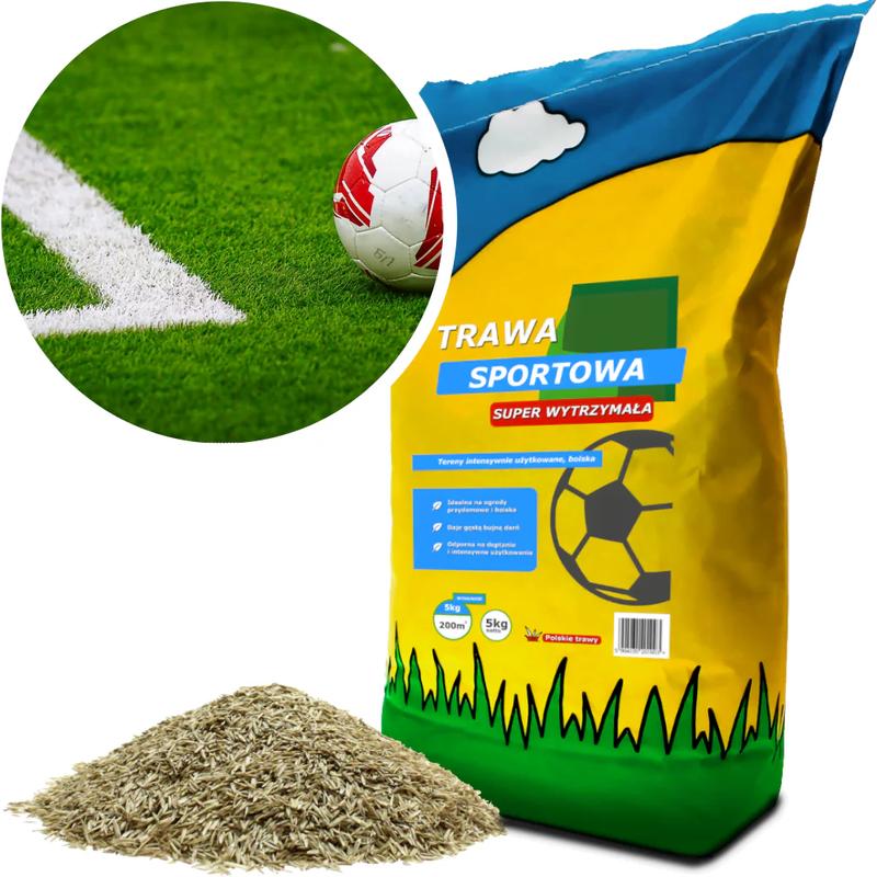 Kiedy wschodzi trawa sportowa i jak o nią dbać?