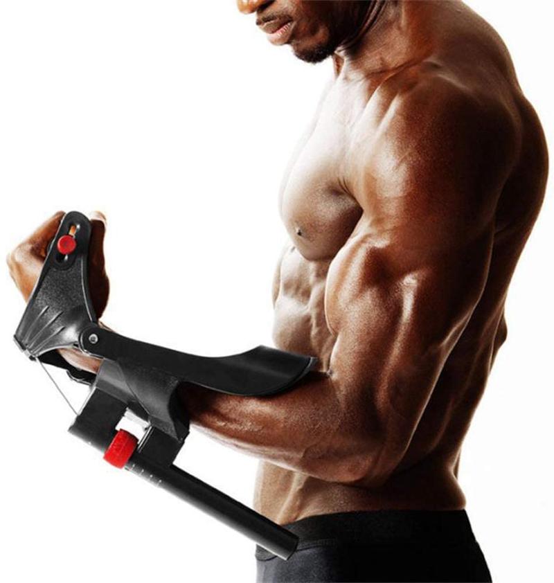 Anatomia mięśni przedramion