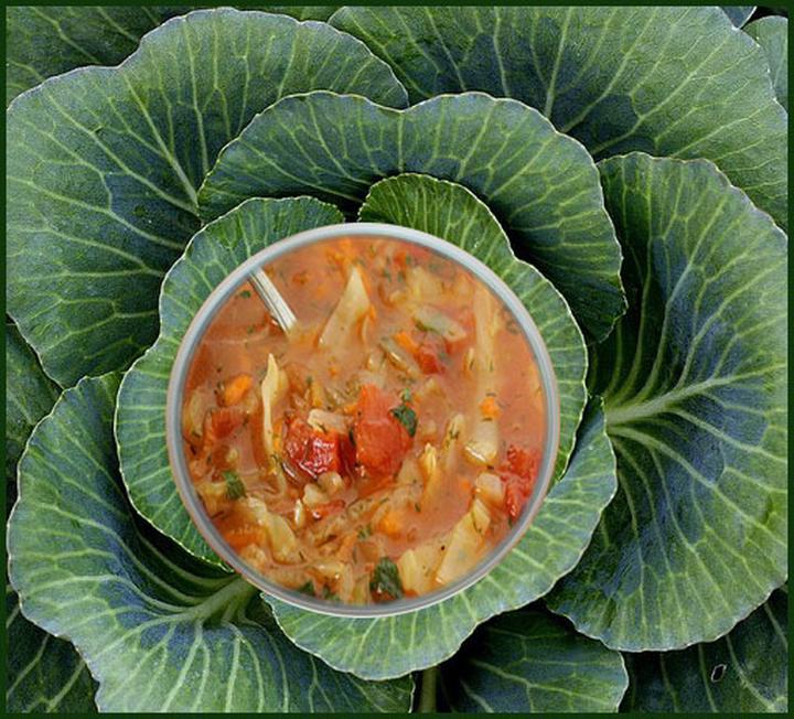 Dieta kapuściana wady i zalety