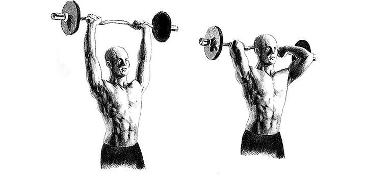 Mięśnie pracujące przy wyciskaniu sztangi