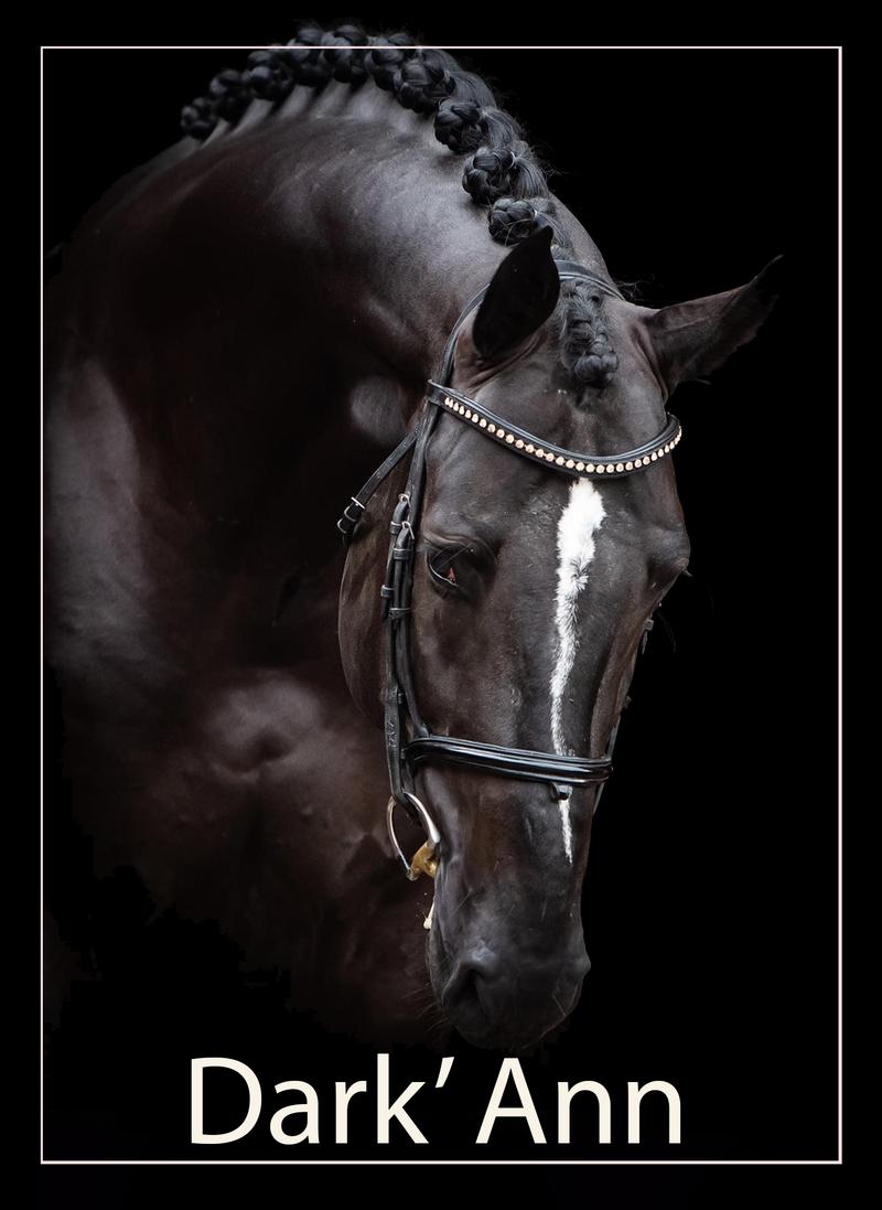 Psychologia rezygnacji bez poczucia winy