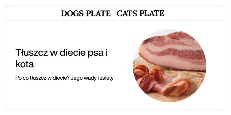 Rola tłuszczów w codziennej diecie