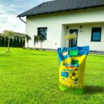 Trawa sportowa czy uniwersalna: co wybrać dla swojego boiska?