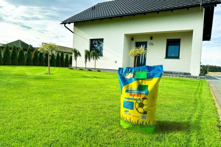 Trawa sportowa czy uniwersalna: co wybrać dla swojego boiska?