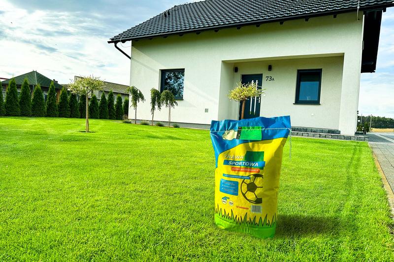 Trawa sportowa czy uniwersalna: co wybrać dla swojego boiska?