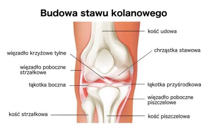 Przyczyny bólu kolan