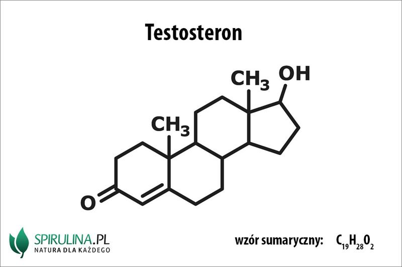 Testosteron a regeneracja