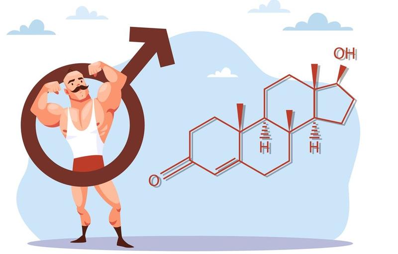 Testosteron i wyniki na siłowni