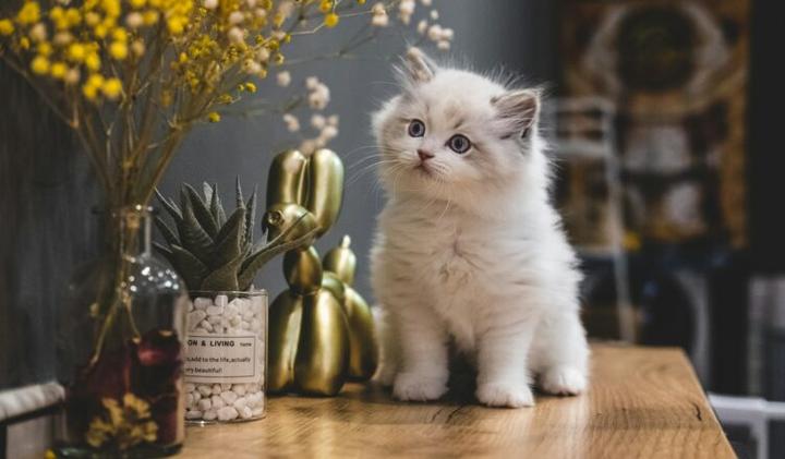 Odkryj sekrety: jak ćwiczyć wokal, by brzmieć jak profesjonalista