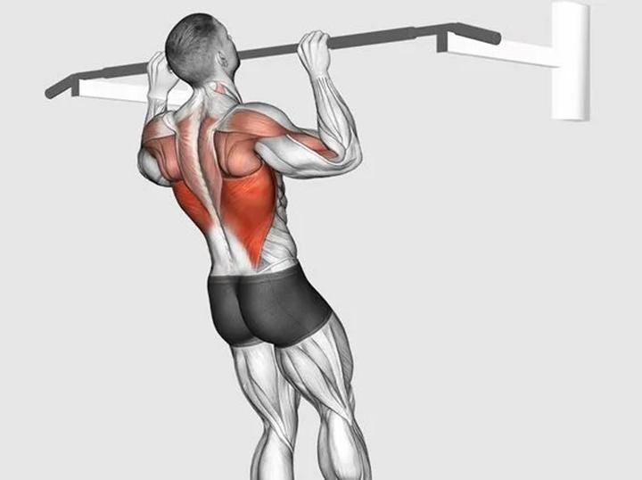 Podciąganie na drążku – które mięśnie angażujesz podczas treningu?