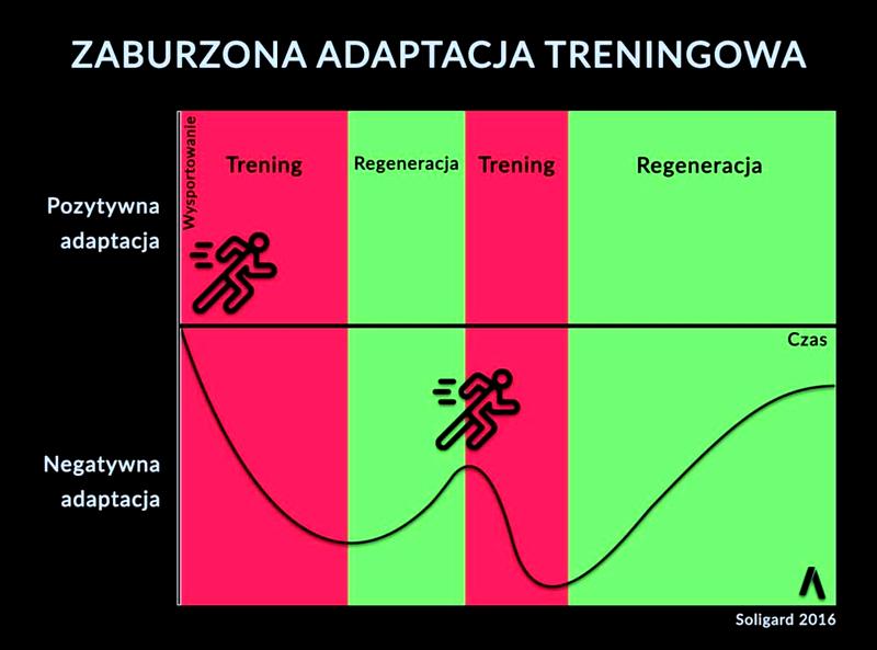 Węglowodany i białko