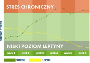 Jak skutecznie zrobić diet break i cieszyć się smakiem życia