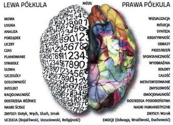 Ćwiczenia lewej półkuli mózgu