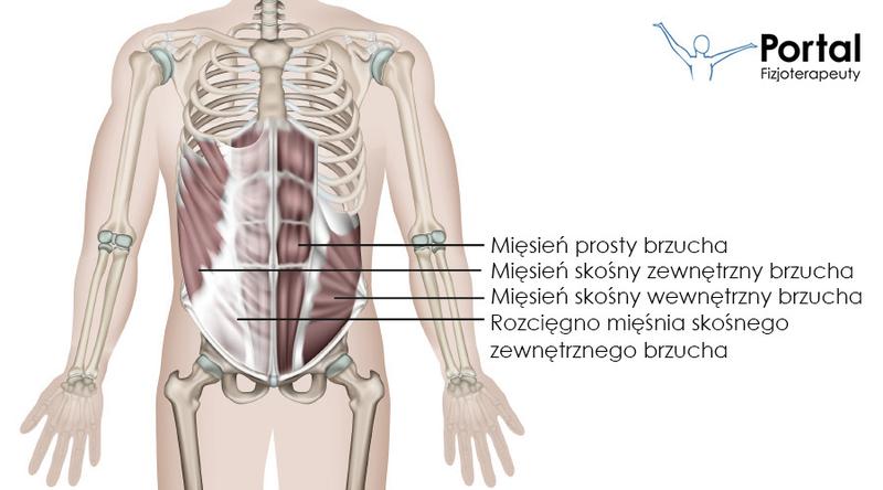 Walka z tkanką tłuszczową