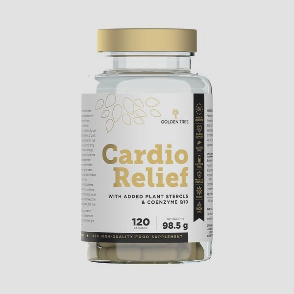 Czy można ćwiczyć codziennie cardio? Sprawdź, jak to wpływa na twoje zdrowie!